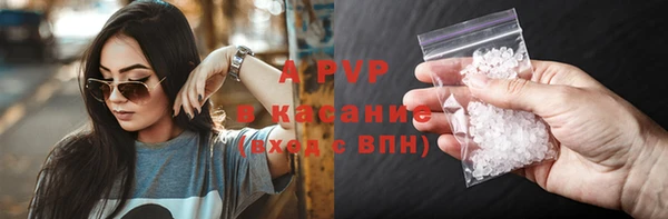 PSILOCYBIN Ельня
