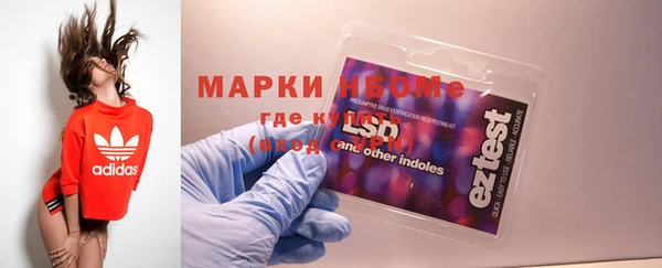PSILOCYBIN Ельня