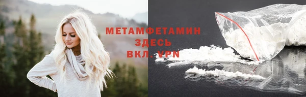 PSILOCYBIN Ельня