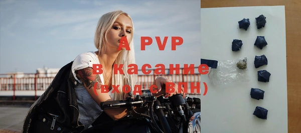 PSILOCYBIN Ельня