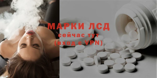 PSILOCYBIN Ельня