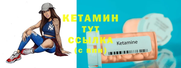 PSILOCYBIN Ельня