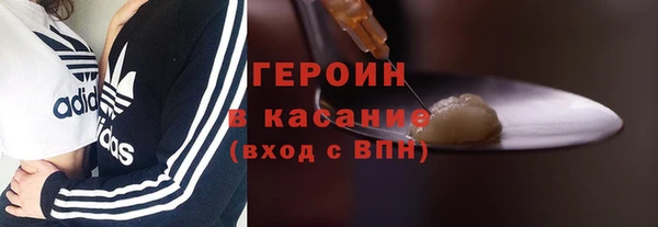 PSILOCYBIN Ельня