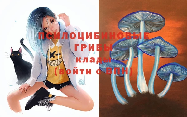 каннабис Елизово