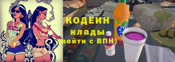 PSILOCYBIN Ельня