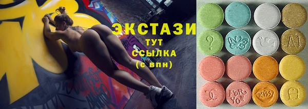 PSILOCYBIN Ельня